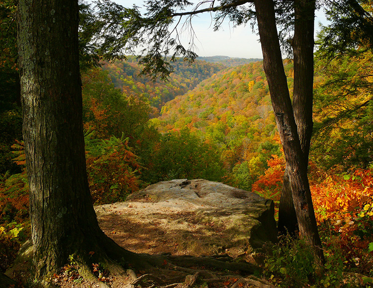McConnells Mill State Park