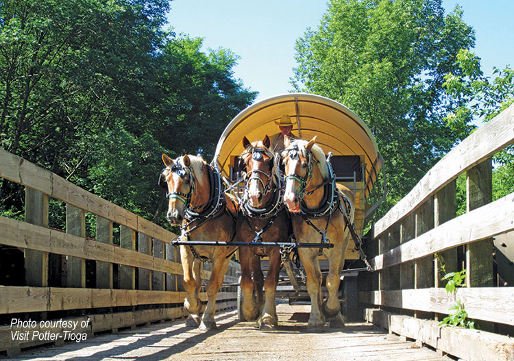 Covered Wagons