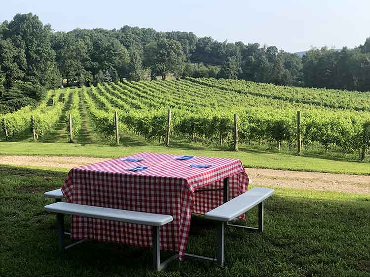 Halbrendt Vineyard
