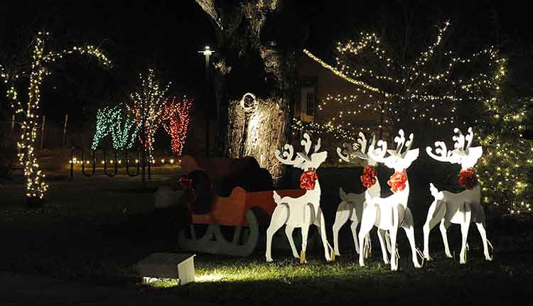 Winter Wonderland at Asbury Woods