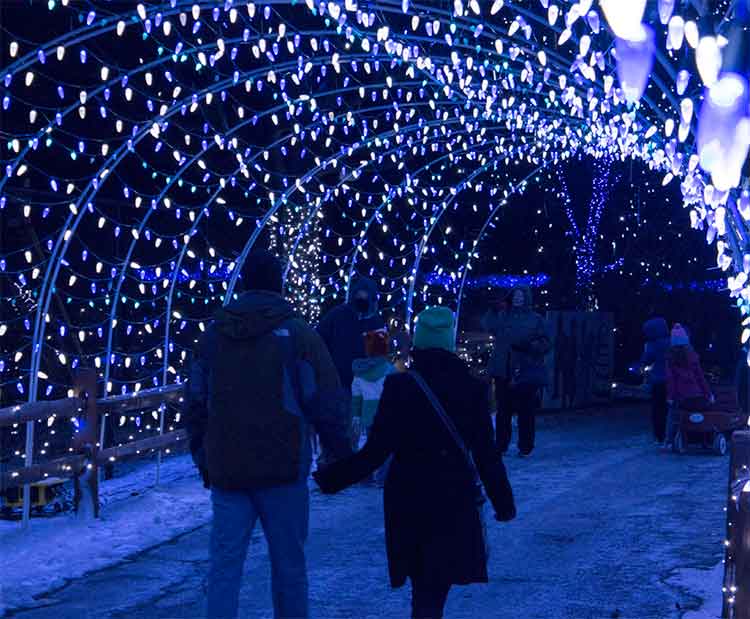 Winter Light Spectacular