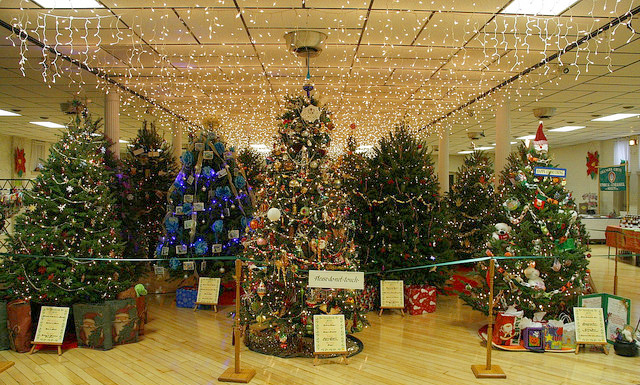 TreeFest at the Caldwell Conservancy