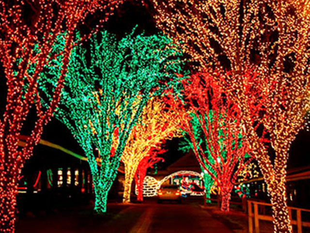 Holiday Lights on the Lake