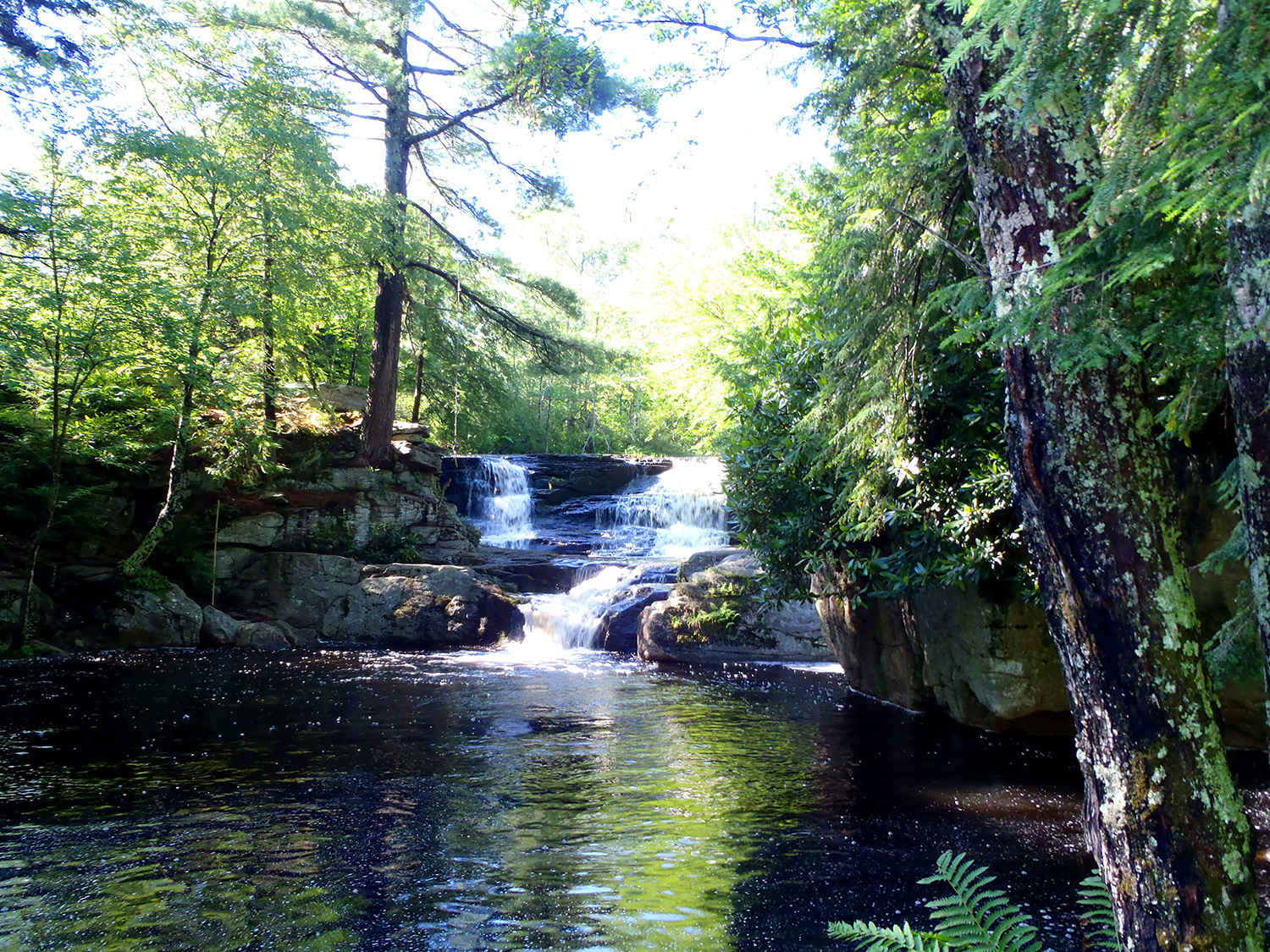 Choke Creek Falls, Pinchot State Forest