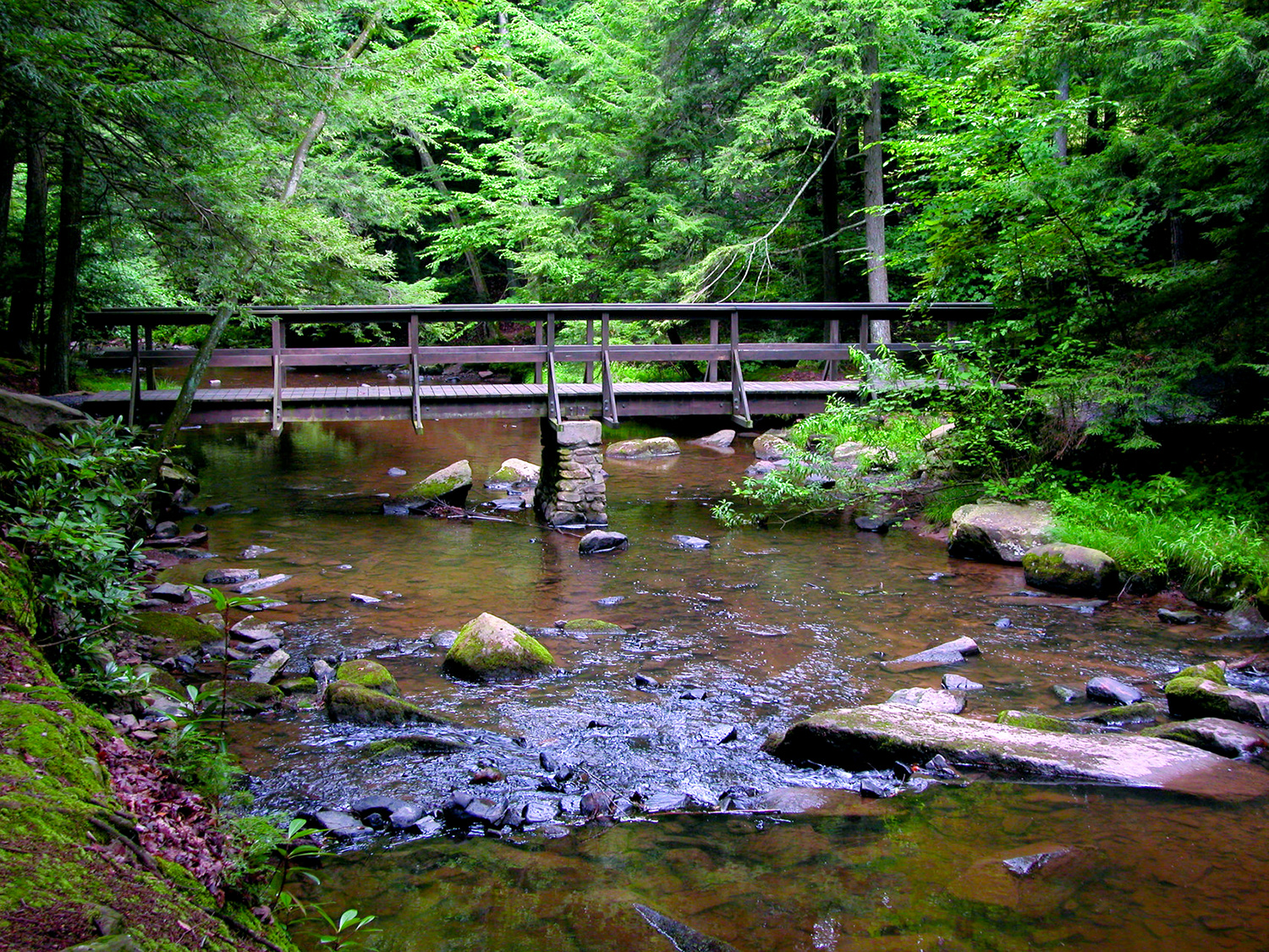 Reeds Gap State Park