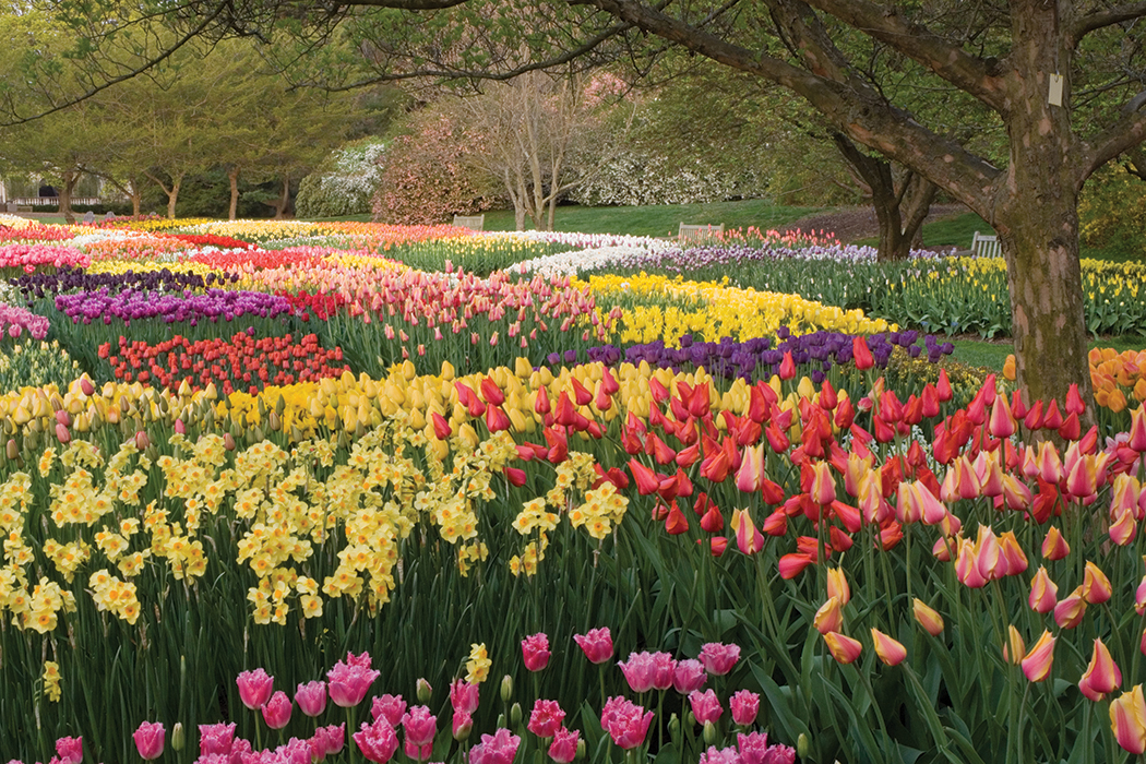 Longwood Gardens Spring