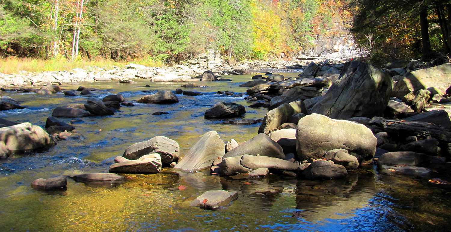 Loyalsock Creek in World's End State Park