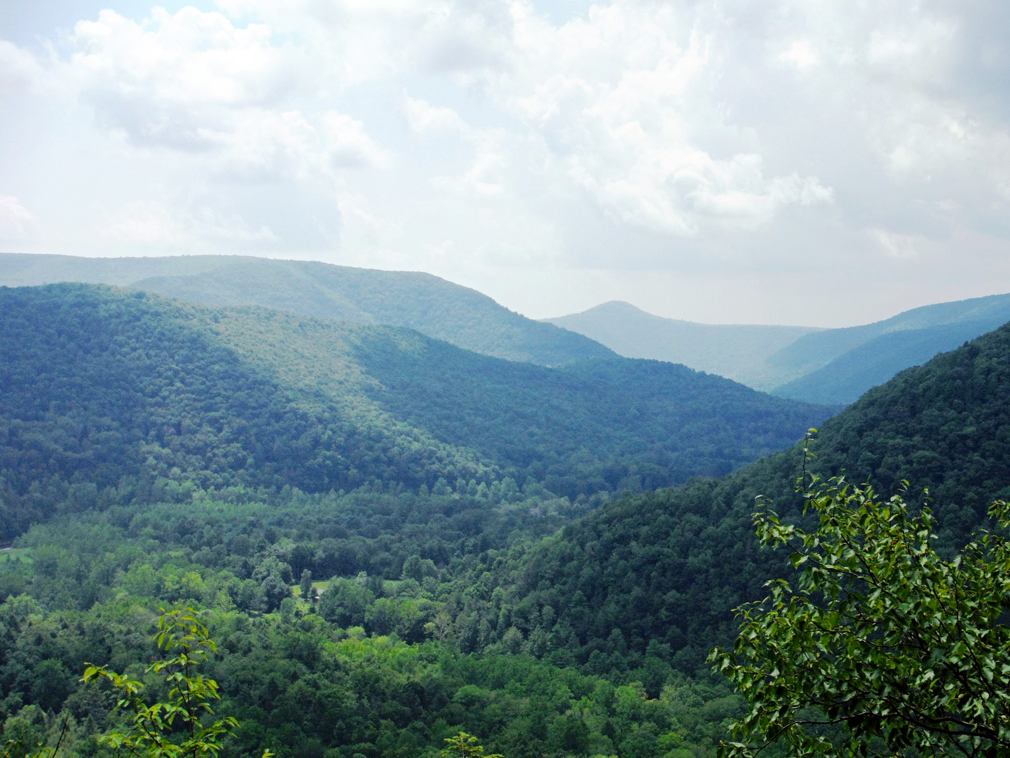 Loyalsock State Forest