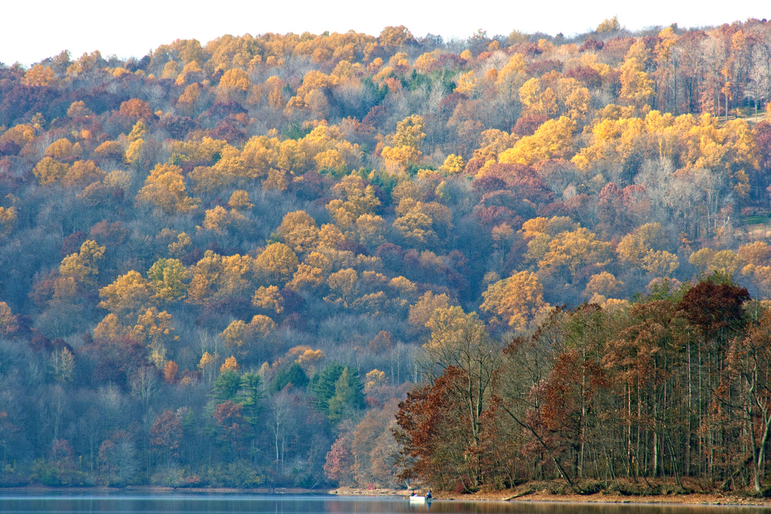 Yellow Creek Lake
