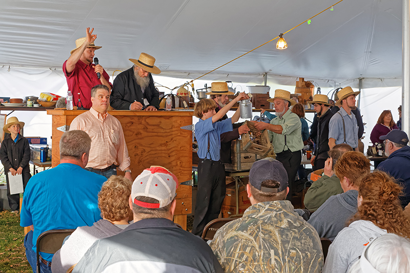 Amish Auctioneers