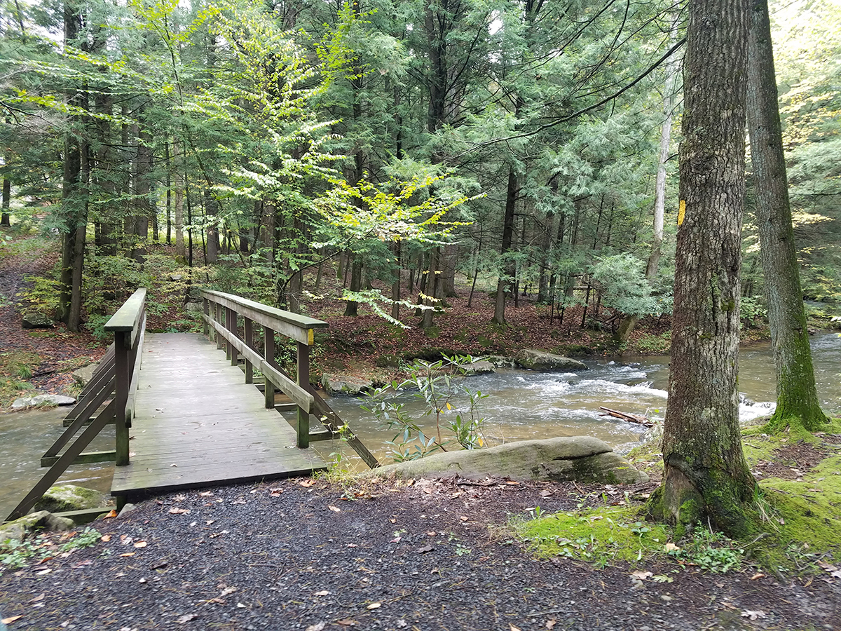 Reeds Gap State Park, PA