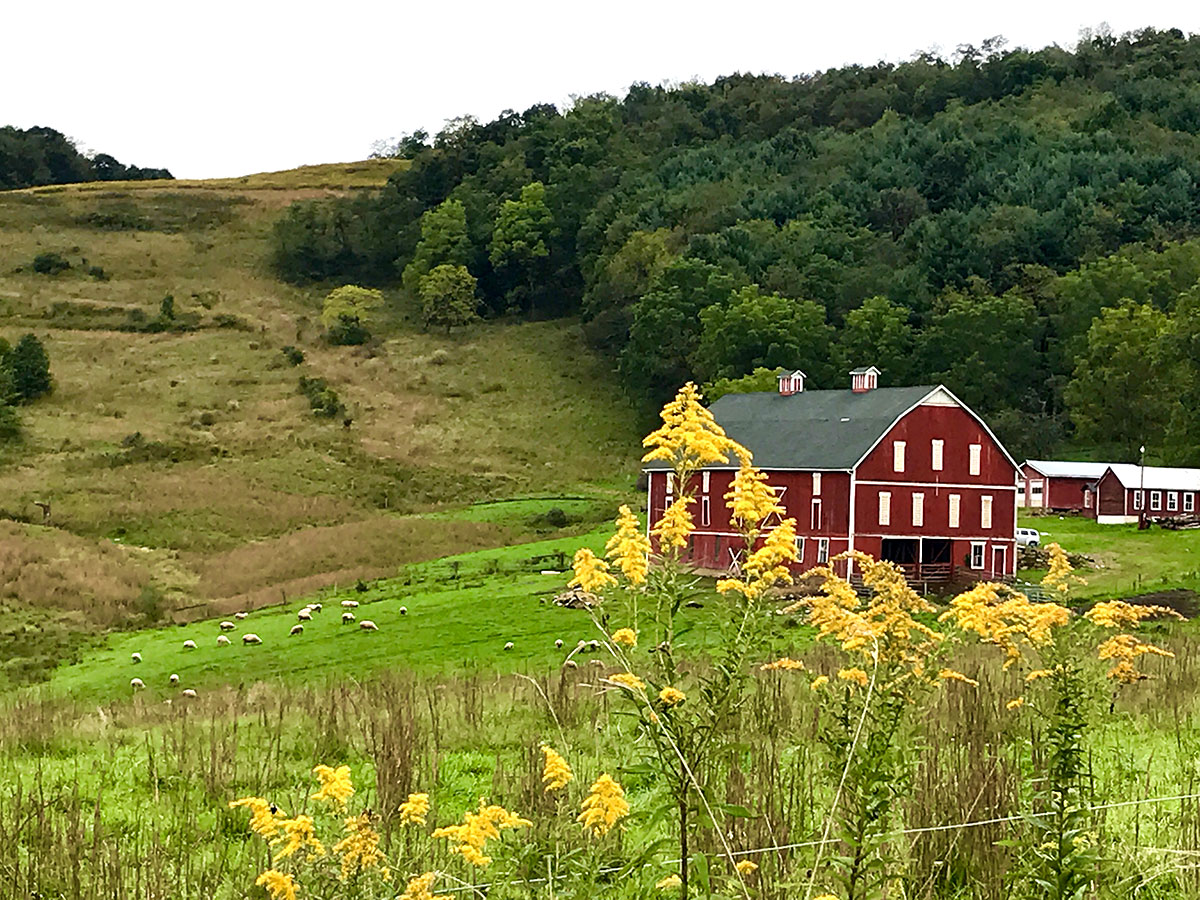 Fort Hill, Somerset County, PA
