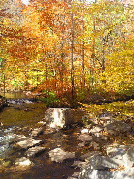 French Creek, St. Peters Village