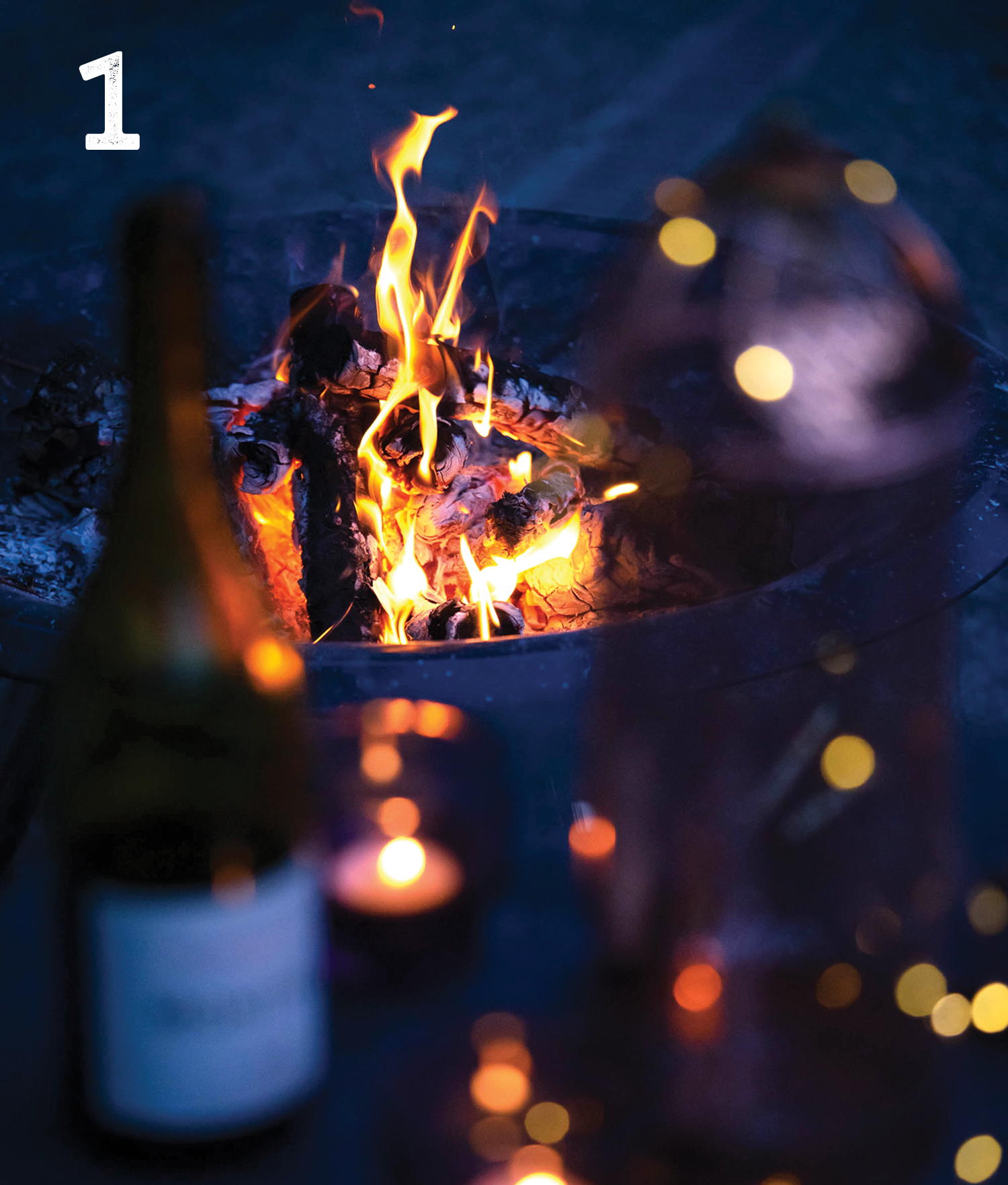 Bonfire with friends