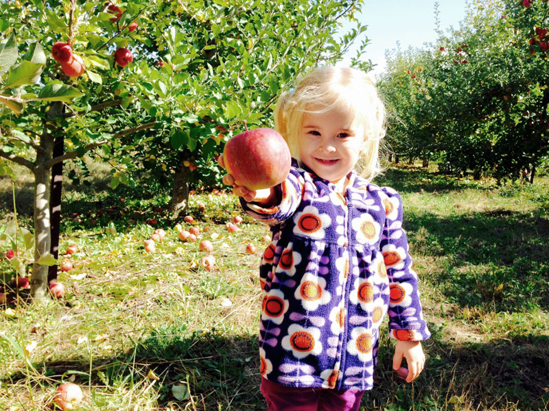 Paulus Orchards