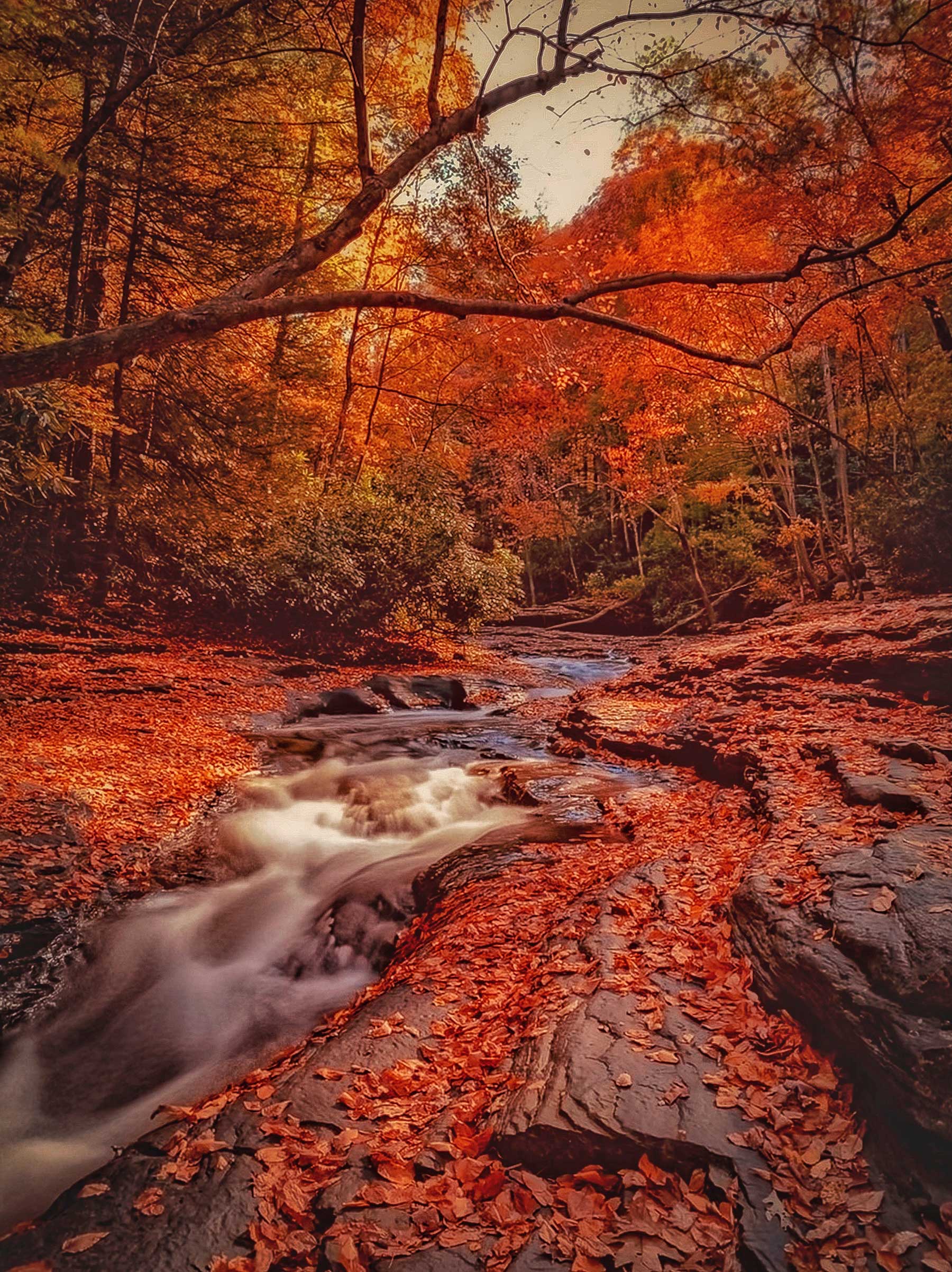 Ohiopyle State Park