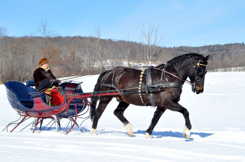 NorthWoods Farm’s
