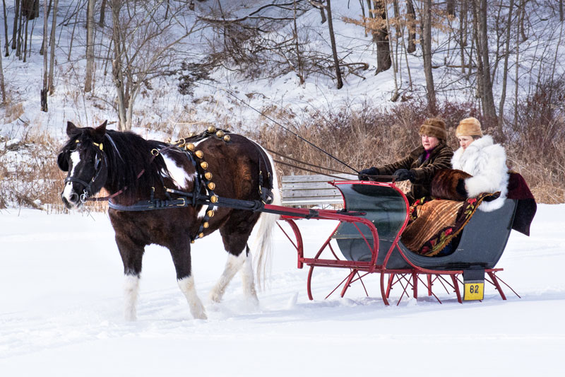 NorthWoods Farm’s
