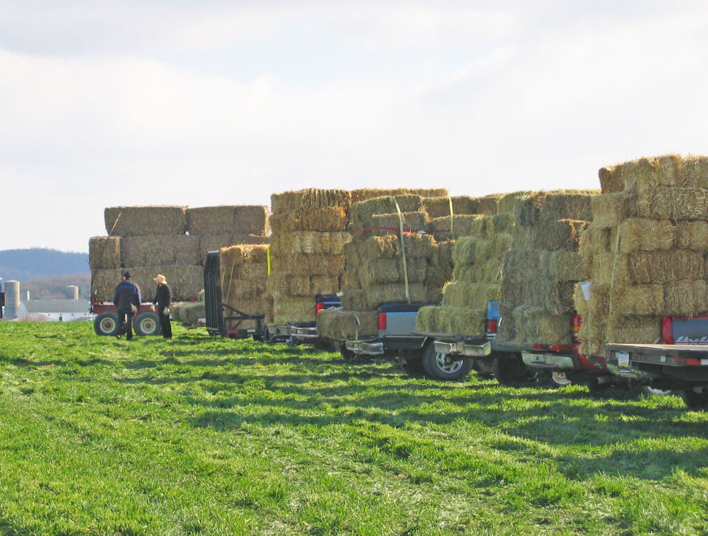 Penryn Fire Co., Mud Sale Hay Wagons