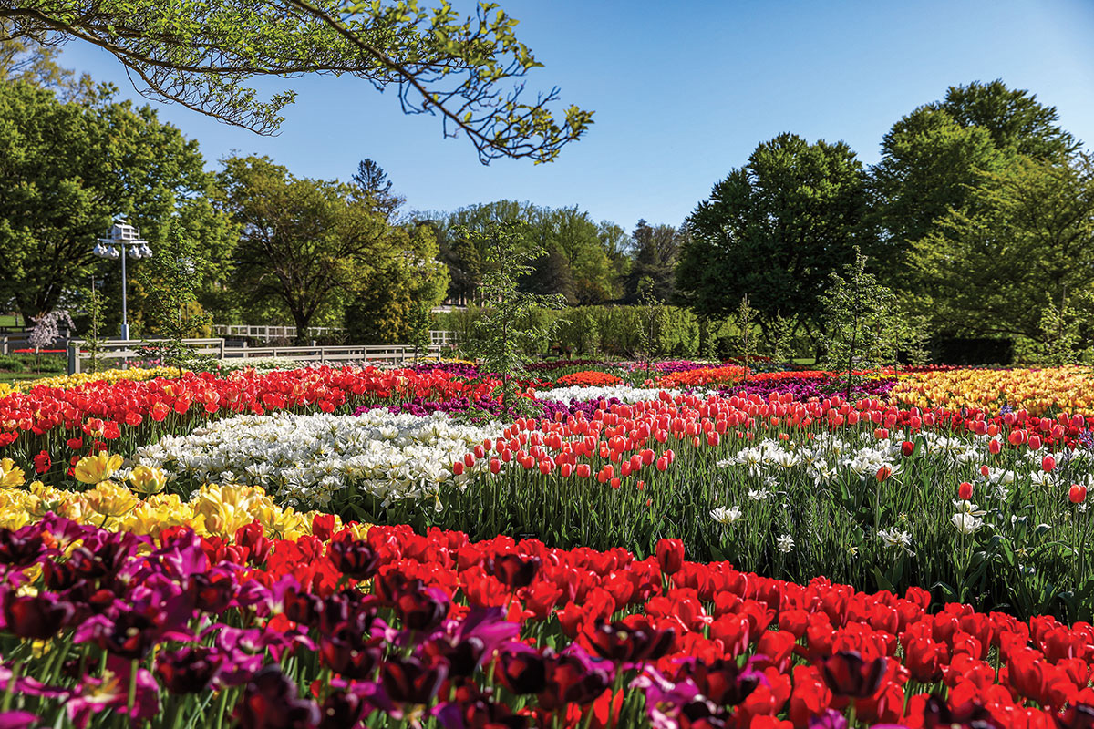 Spring Blooms at Longwood Gardens, Kennett Square, PA