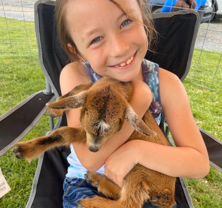 Batz Farm